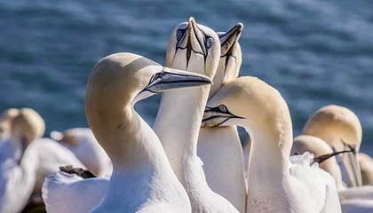 PTE成绩被延迟?还能重新报名考试吗?一文说清应对策略